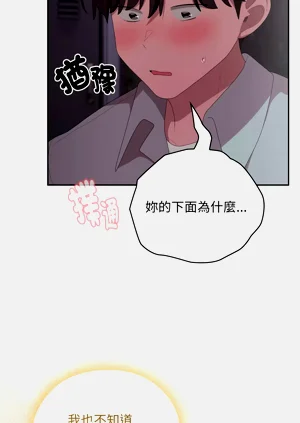 第48頁圖