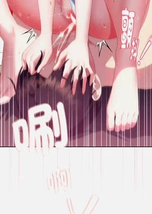 第522頁圖