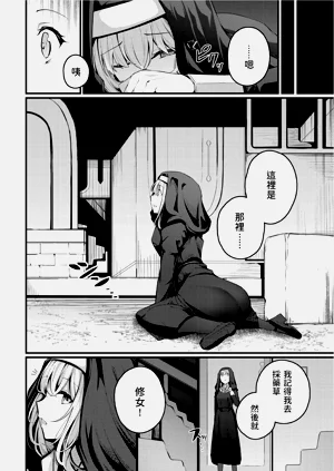 第306頁圖