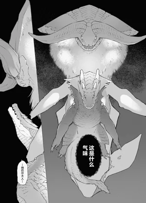第14页图