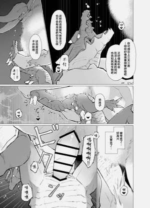 第20页图