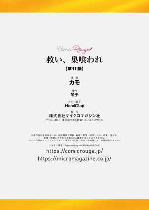 第384頁圖