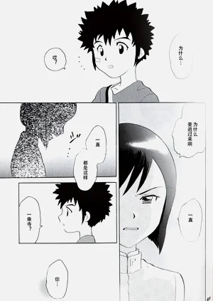 第46頁圖