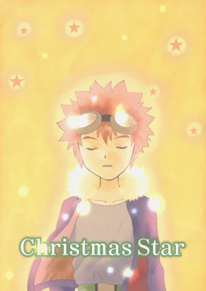 Christmas Star圖