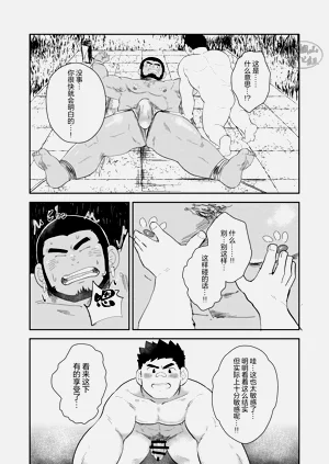 第31頁圖