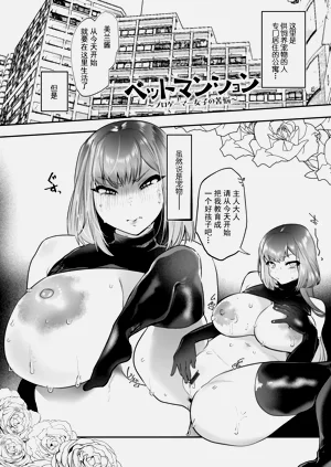 第78頁圖