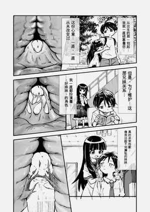第43頁圖