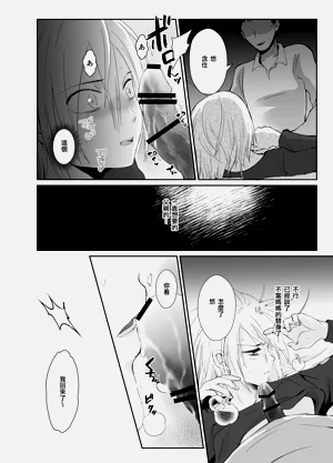 第33頁圖