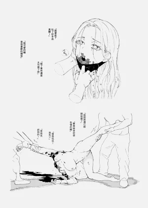 第3页图