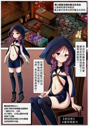 第33页图