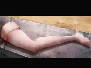 第48頁圖
