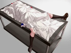 第88頁圖
