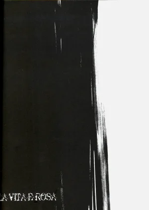 第55頁圖