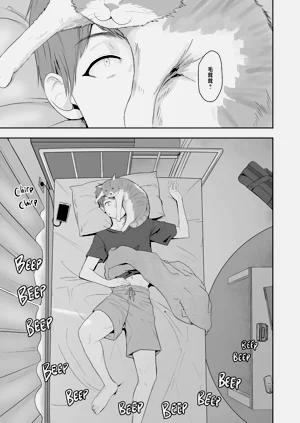 第278頁圖