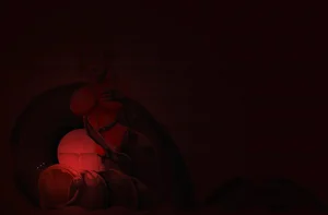 第104頁圖