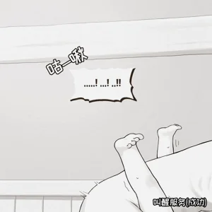 第13页图