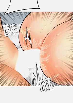 第278頁圖