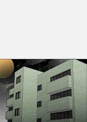 第335頁圖