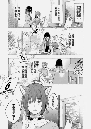 第11页图