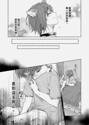 第17页图