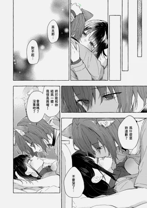 第32页图