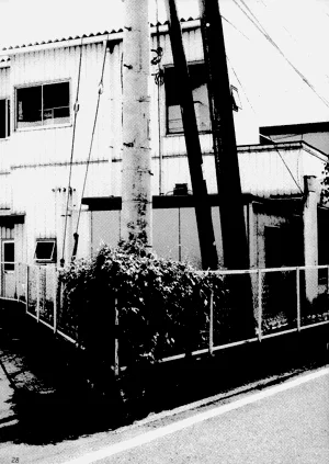 第27页图