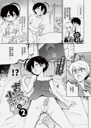 第273頁圖