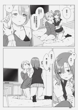第228頁圖