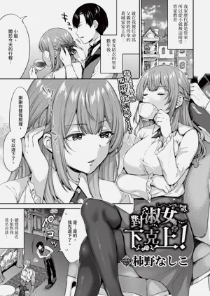 第241頁圖