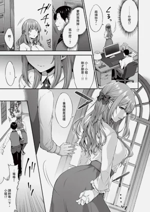 第243頁圖