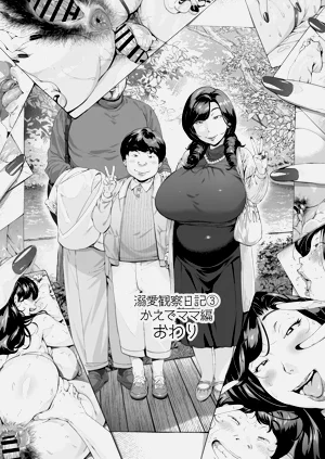 第34頁圖
