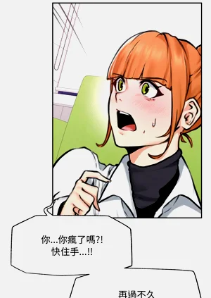 第219頁圖