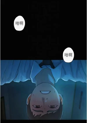 第248頁圖