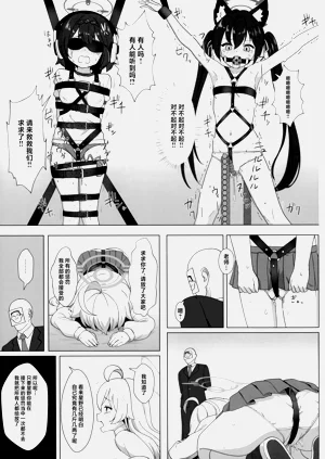 第13页图