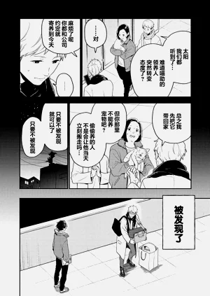 第8页图