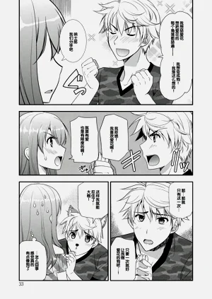 第33頁圖