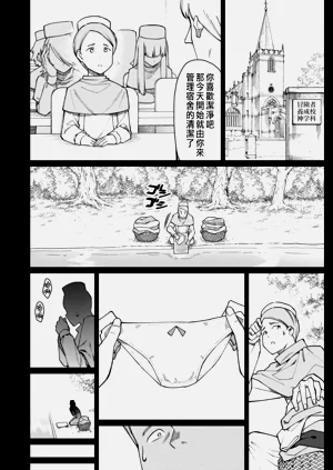 第528页图