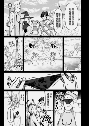 第529页图