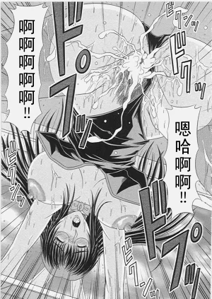 第254頁圖