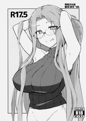 R17.5圖