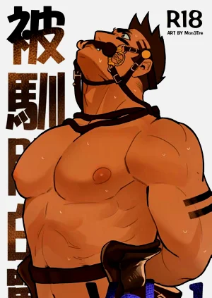 第1页图