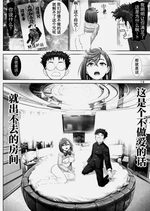 第13页图