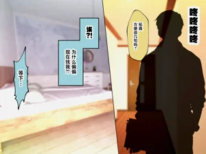 第369頁圖