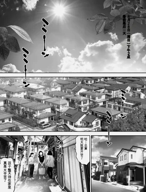 第223页图