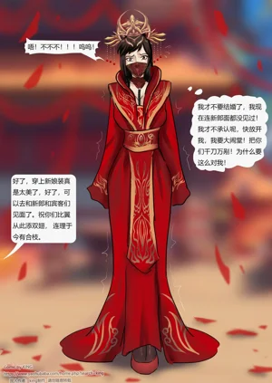 第11页图