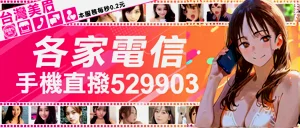 第24頁圖