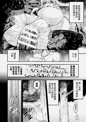 第316頁圖