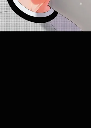 第313頁圖
