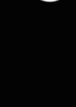第377頁圖