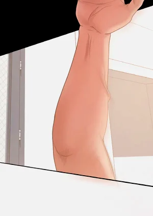 第435頁圖